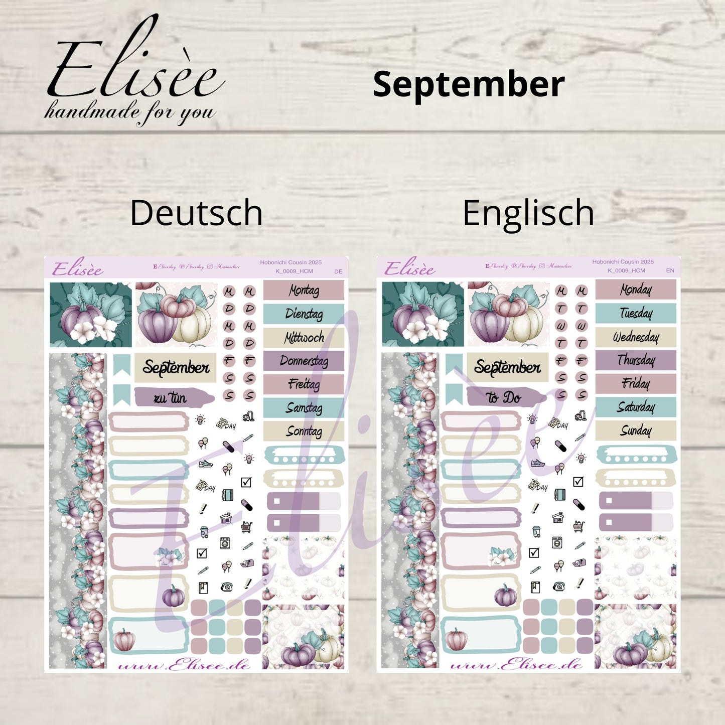 Bundle #02 2025 Monthly Kits Hobonichi Cousin / A5 / Bullet Journal
