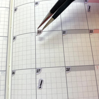 2025_Date Cover Bullet Journal / Hobonichi Weeks
