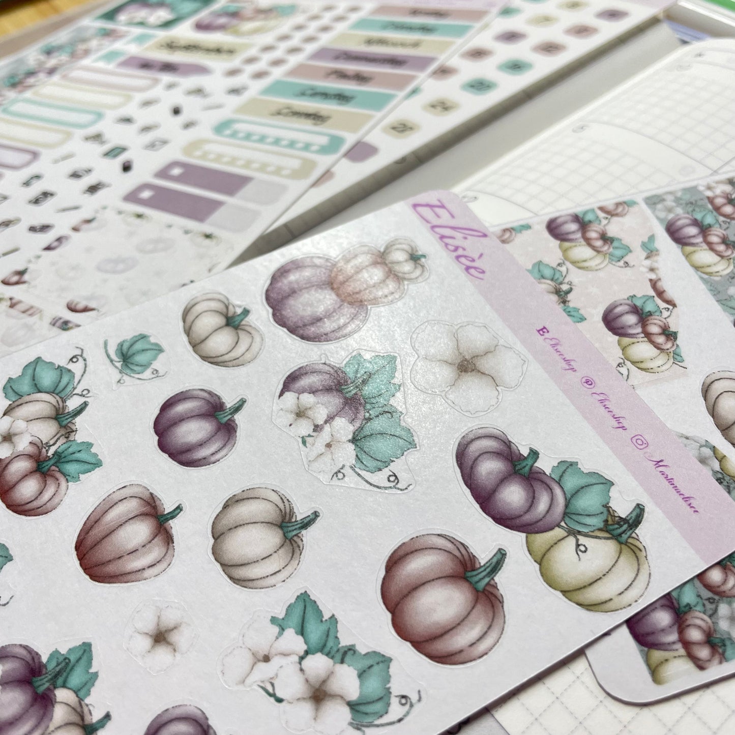 K0009_"HERBST KÜRBIS" September 2025 Monatskit Hobonichi Cousin / A5 / Bullet Journal